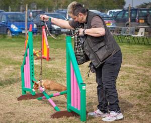 have a go agility Canine